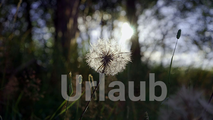 Urologie-esser-Urlaub