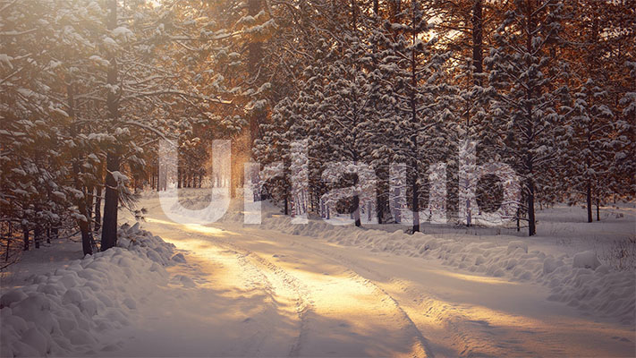 Urologie-esser-Urlaub_weihnachten